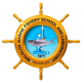 MMFSL Logo